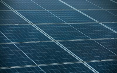 How Solar Energy Can Protect Your Business from Rising Power Prices